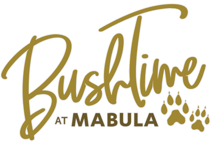 Bush Time at Mabula in Mabula Private Game Reserve