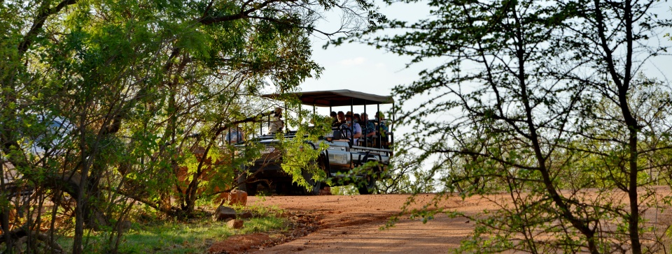 Safari1